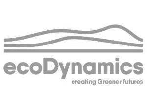 ecodynamics